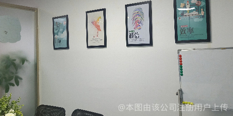 貓頭鷹網絡科技 洞察黑夜，引領未來